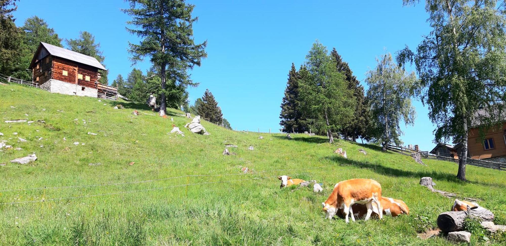 Panoramapension Platzer Unterkolbnitz ภายนอก รูปภาพ