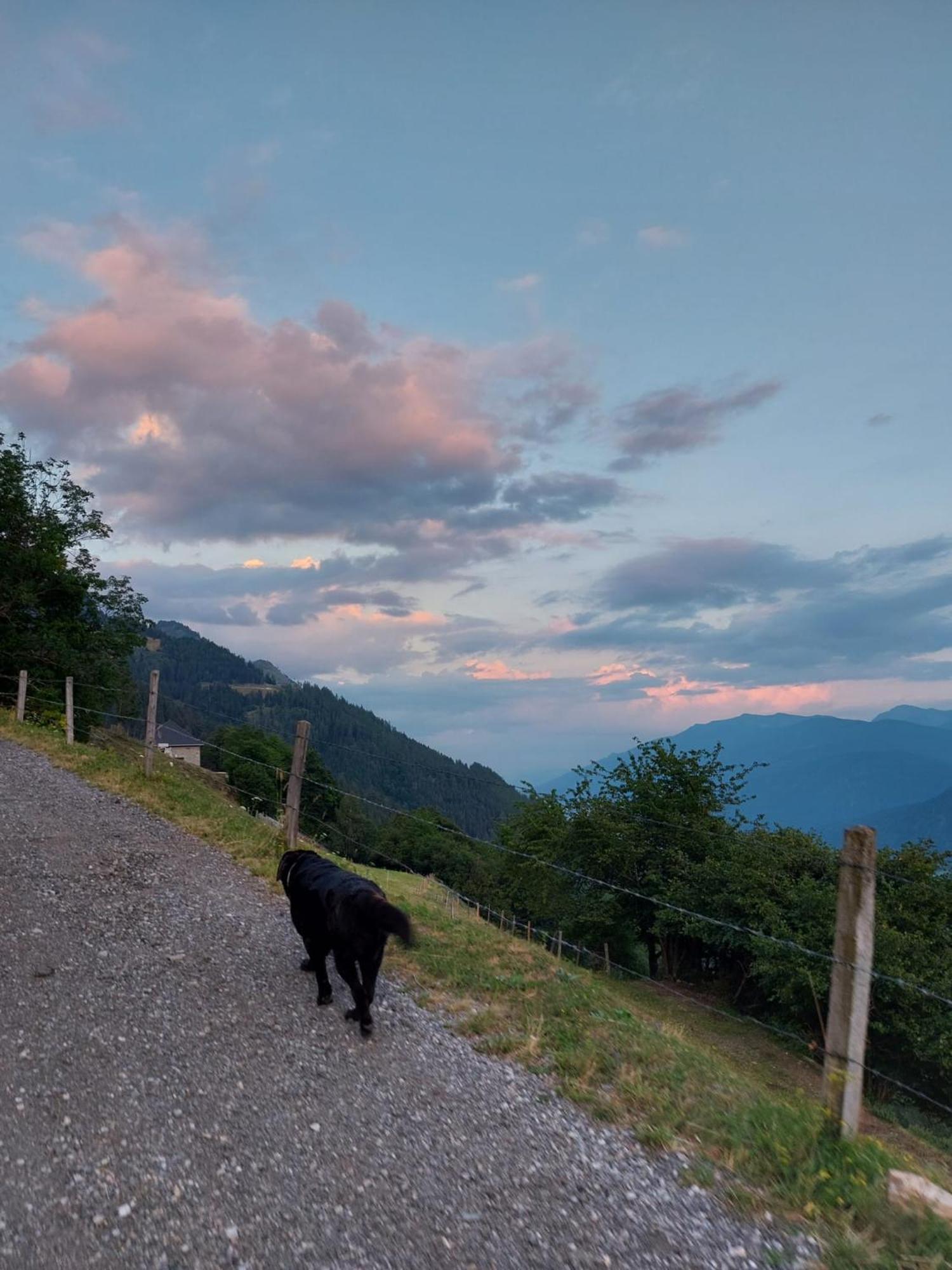 Panoramapension Platzer Unterkolbnitz ภายนอก รูปภาพ